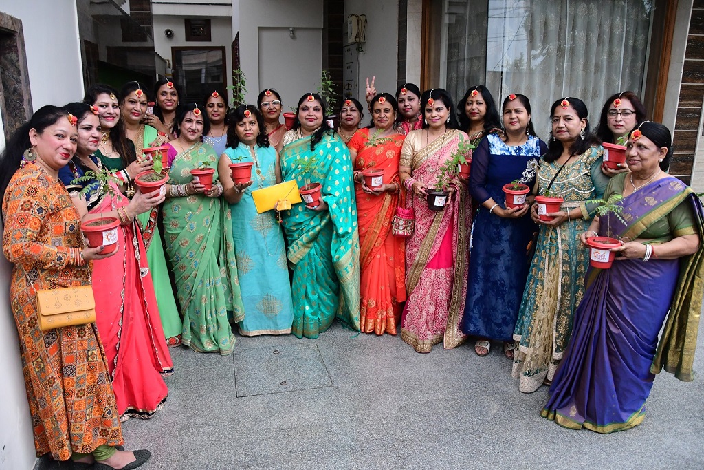 Distribution of plants on Teej festival